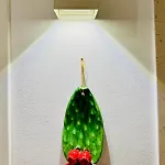 Biancapulia